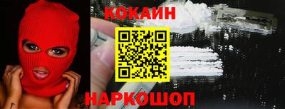 крисы Кингисепп