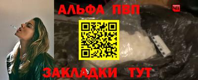 крисы Кингисепп