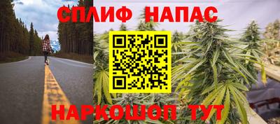 эйфоретик Кимры