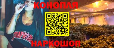 крисы Кингисепп