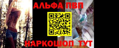 крисы Кингисепп