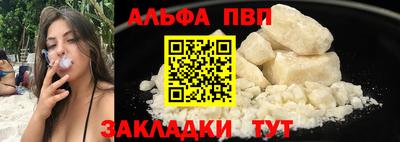 крисы Кингисепп