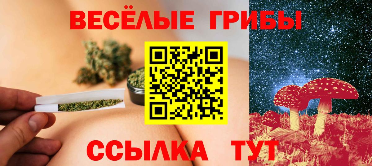 Галлюциногенные грибы Psilocybine cubensis  Вход с VPN  Коркино 